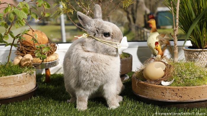  عکس روز: نماد عید پاک در ایام کرونایی 