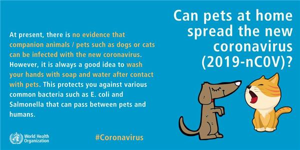  آیا حیوانات خانگی در خانه می توانند کرونا ویروس جدید (2019-nCoV) را گسترش دهند؟ 