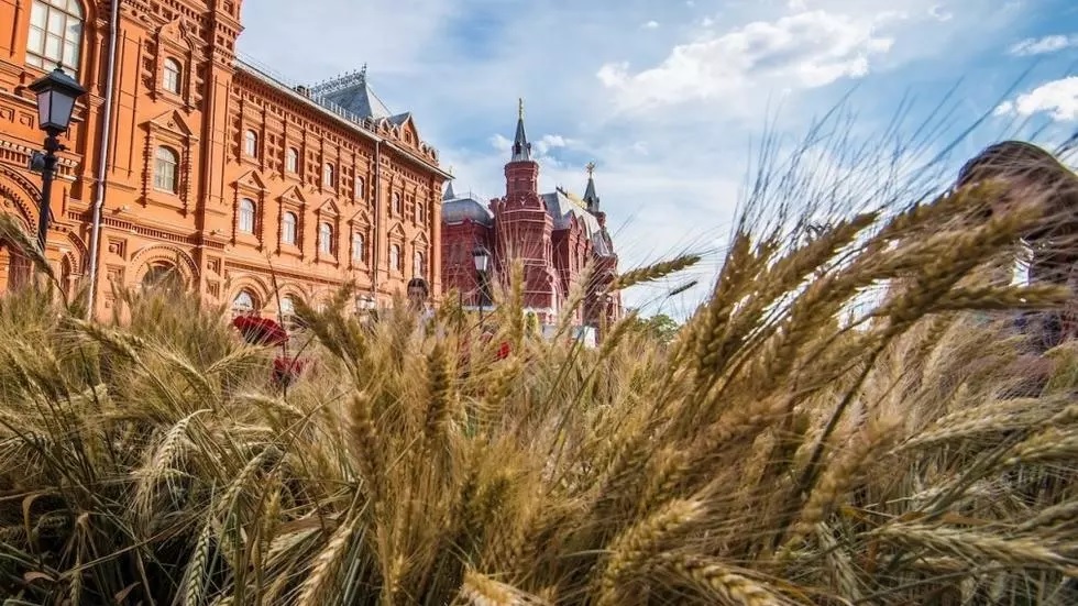 روسیه، کشوری که اولین صادرکننده گندم در جهان می‌باشد