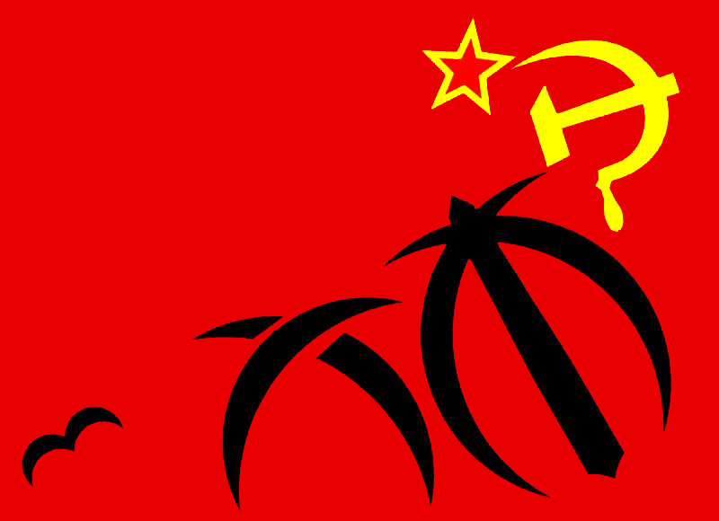 این «نگاه» نیست بلکه نوکریست!