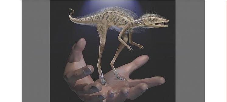 کپی رایت  Frank Ippolito/American Museum of Natural History via AP