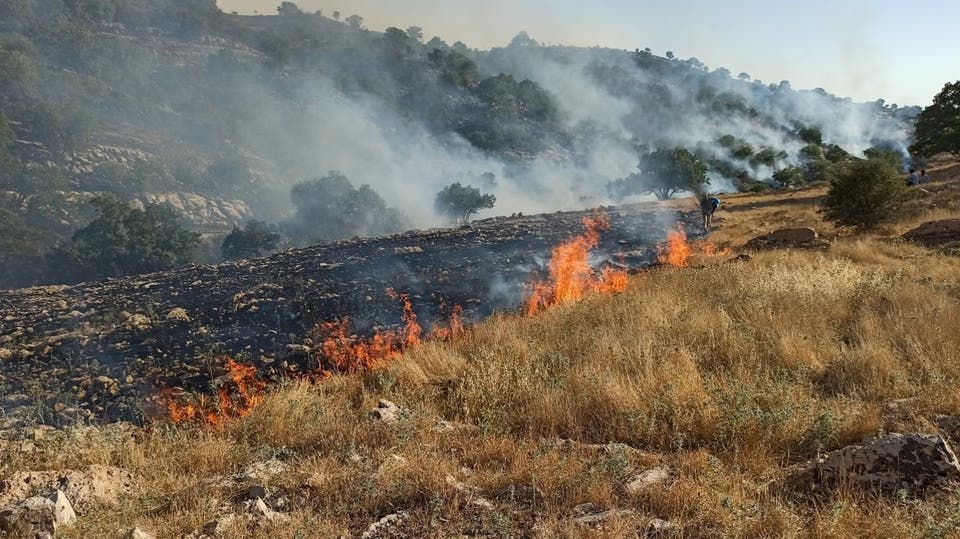ادامه آتش سوزی درجنگل‌های زاگرس؛ ناامیدی فعالان محیط زیست ايران از عملكرد مسئولان