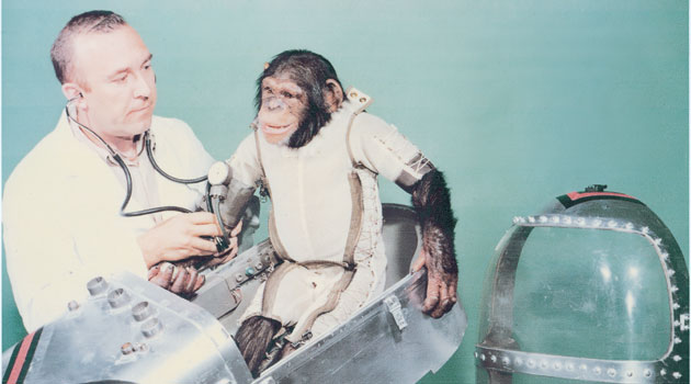 پاسخ میمون ها به رهبر 