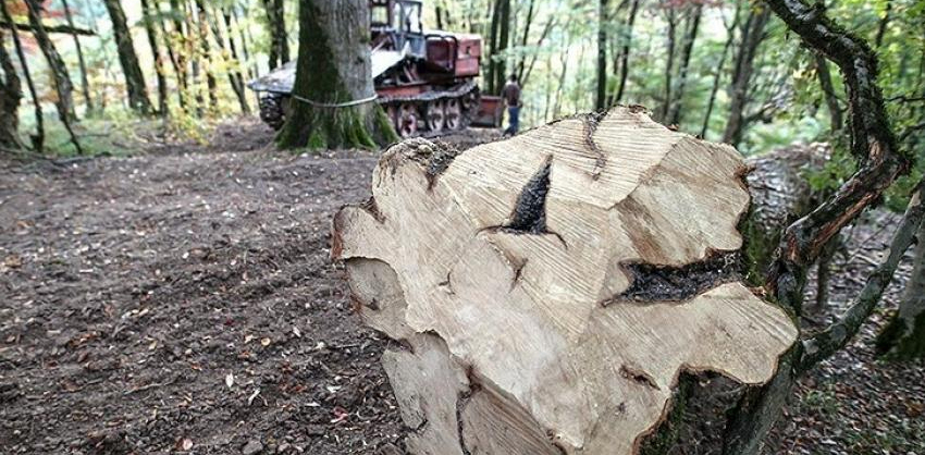 تاثیر سیاست‌های توسعه‌ای جمهوری اسلامی بر تخریب سرزمین در ایران