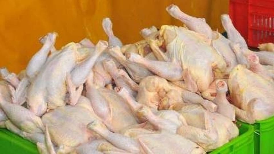 دو برابر شدن قیمت مرغ و گرانی 28 درصدی لبنیات در ایران