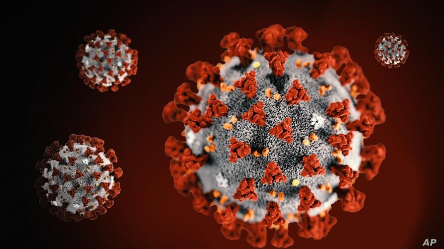 تصویر نقاشی شده از ویروس جدید کرونا توسط مرکز کنترل و پیشگیری بیماری آمریکا