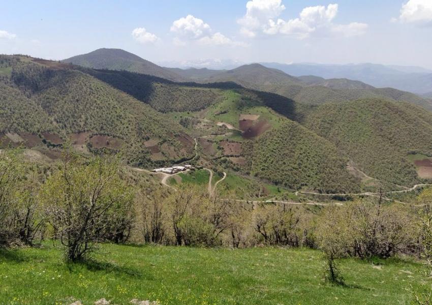 جنگل‌خواری، تیشه به ریشه جنگل‌های کردستان