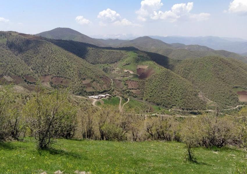 جنگل‌خواری، تیشه به ریشه جنگل‌های کردستان