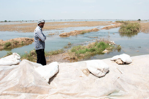 دارایی کشاورزان را آب برد و مسئولان را خواب!