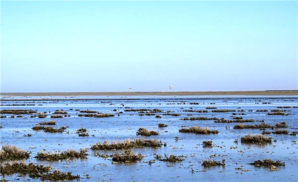  تامین نیاز آبی تالاب گمیشان در اولویت برنامه‌های ملی و استانی باشد 