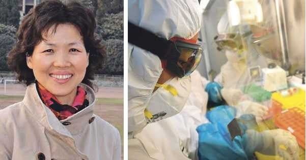 اخبار ضد ونقیض درباره پناهندگی دانشمند کرونای چینی معروف به «زن خفاش» به سفارت آمریکا